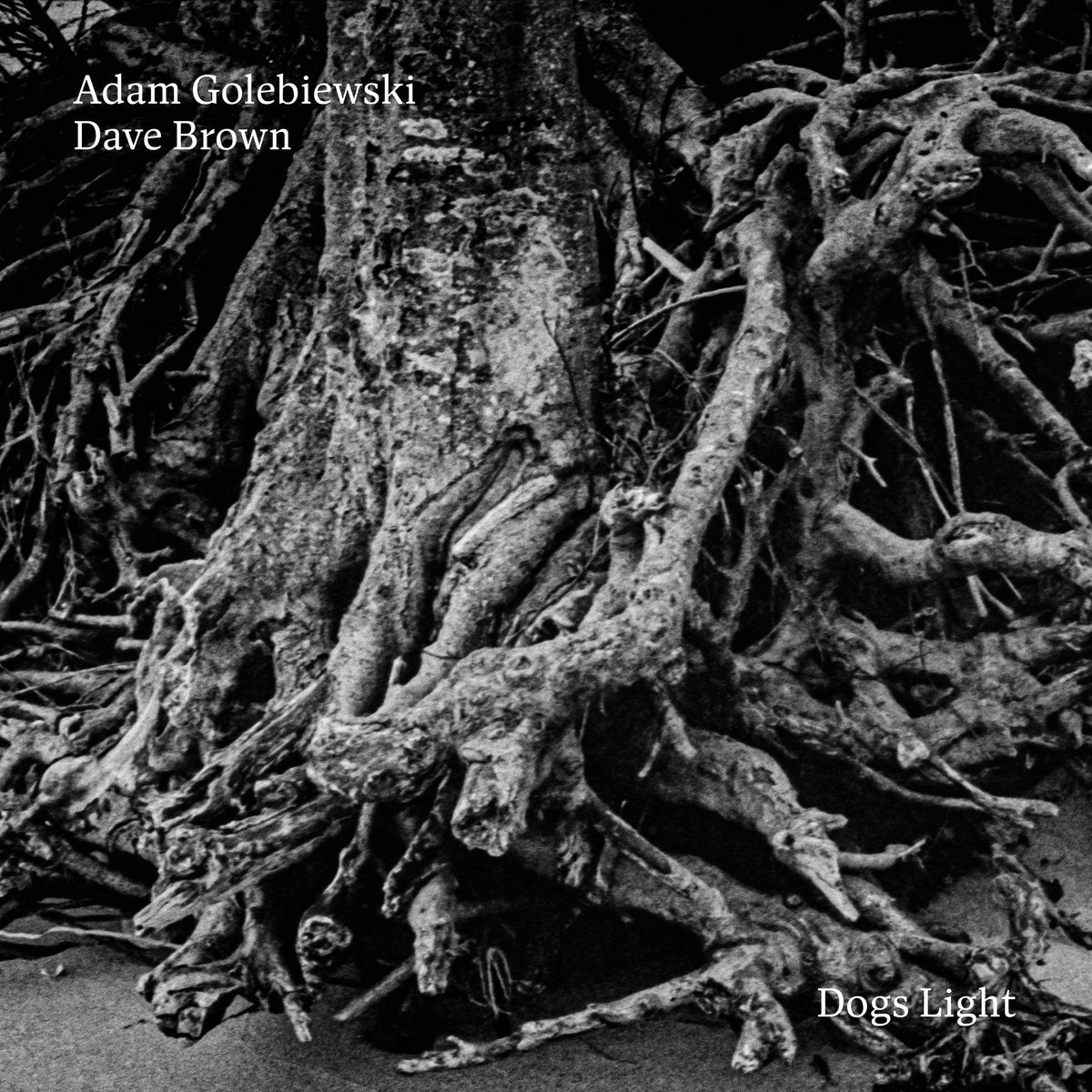 Adam Gołębiewski / Dave Brown - Dog's Light LP