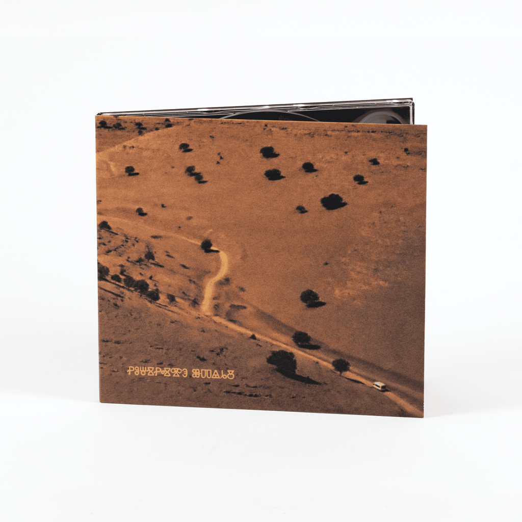 Iztok Koren & Raphael Rogiński - Nocturnal Consolations CD