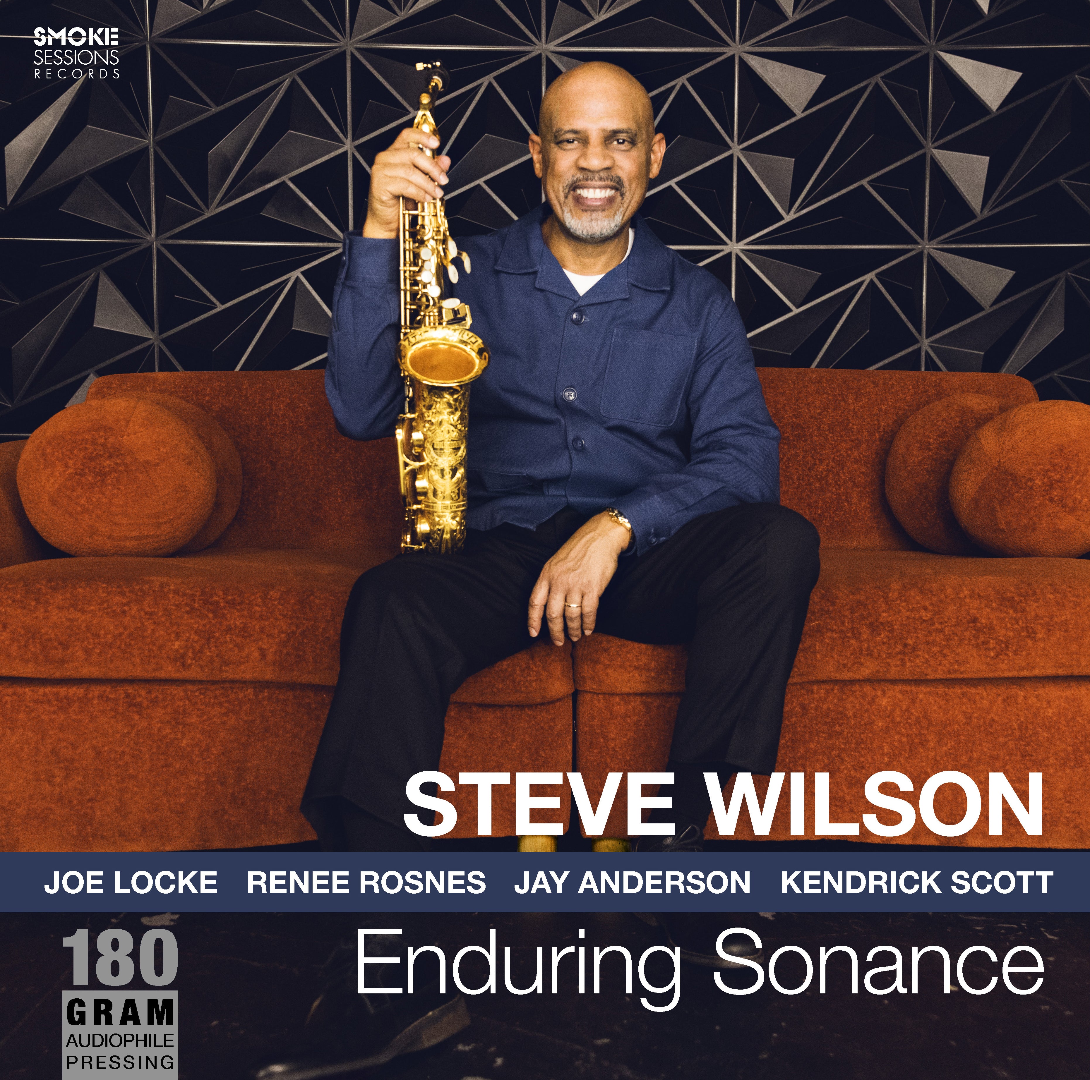 Steve Wilson - Enduring Sonance LP