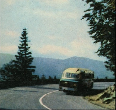 Wild Books - Wild Books LP