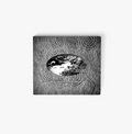 Silver Rocket - Electronics For Dogs CD