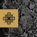 ARRM - ARRM CD