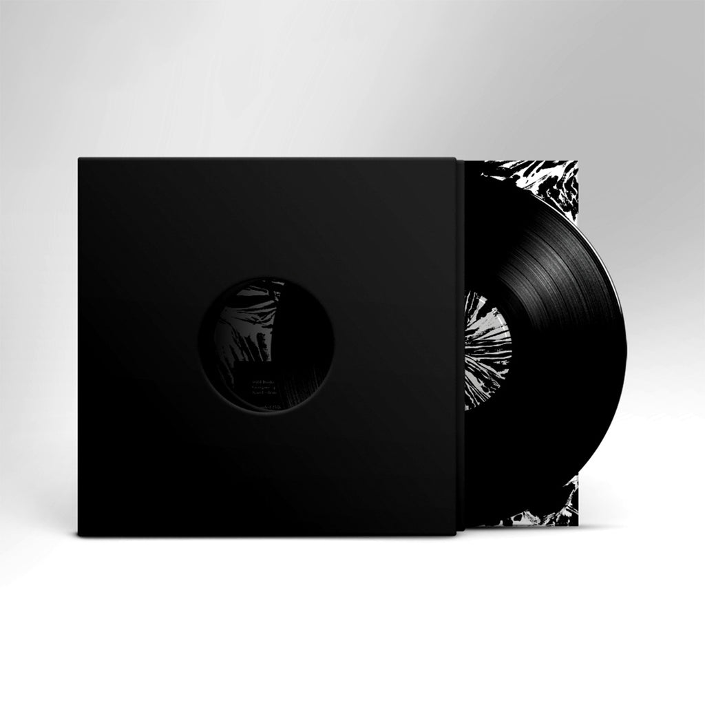 Wild Books - 2 LP (black)