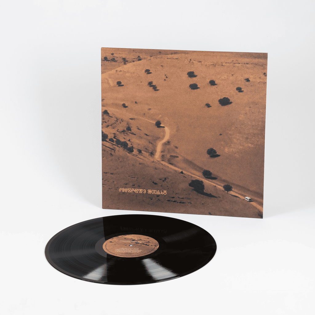 Iztok Koren & Raphael Rogiński - Nocturnal Consolations LP