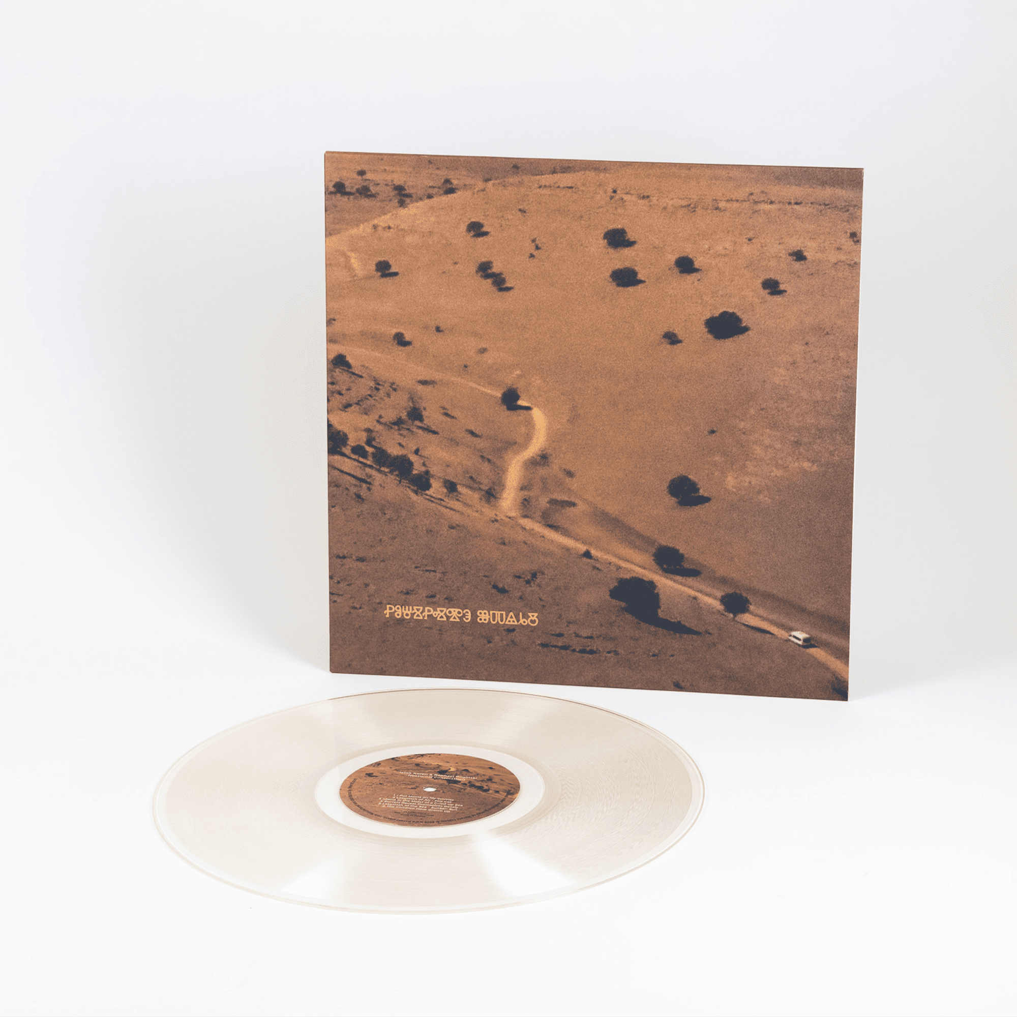 Iztok Koren & Raphael Rogiński - Nocturnal Consolations LP